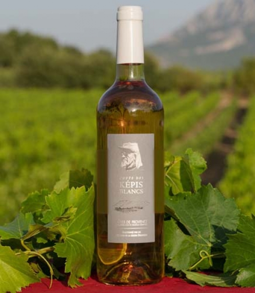 Wein "A.O.C." rosé 3 x 0,75 l